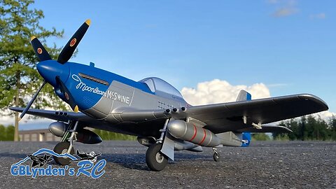 Sunset Second Flight - H-King P-51 Mustang Moonbeam McSwine V2 750mm PNP RC Warbird