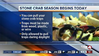 Stone crab season officially begins