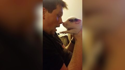 "Unusual Friendship: A Man and A Piglet"