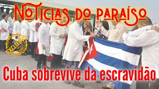 Cuba sobrevive do aluguel de escravos