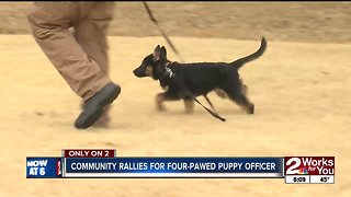 Community rallies for future puppy officer