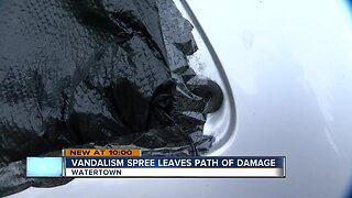 Vandals leave behind trail of damage in Watertown