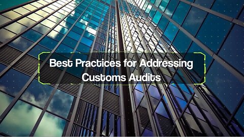 What Are the Key Steps in Addressing Customs Audits?