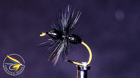 Tying the Black Ant - Dressed Irons