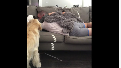 Jealous Pooch Gets Green With Envy When Owners Cuddle Without Him