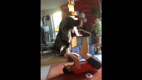 Australian Shepherd and owner doing some acroyoga together