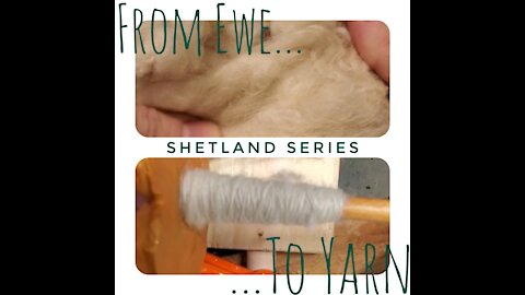 Ewe to Yarn(shetland series part 3)