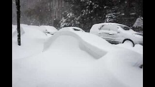 Une tempête de neige enterre des voitures à Terre-Neuve au Canada