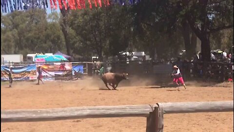 Close Call for the Clown at Boddington Rodeo, Western Australia