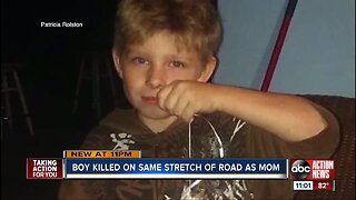 Palmetto boy killed in hit-and-run crash on US 19, same road where mom died months earlier