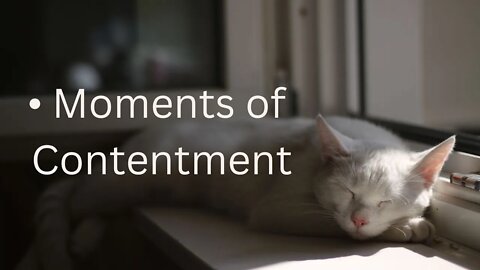 • Moments of Contentment Message from Ann & the Angels - 12/10/2022