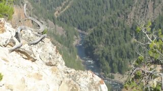 The Yellowstone River in the Grand Canyon of the Yellowstone