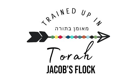 Jacob's Flock- Sabbath School Lesson