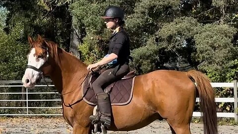BARN VLOG: Bringing My OTTB Back to Work & Riding My Homebred Youngster