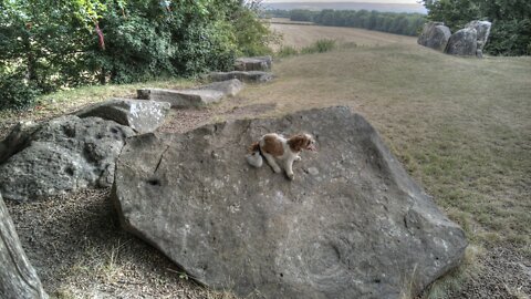 A Hike To Coldrum Longbarrow Ancient Stones 4K