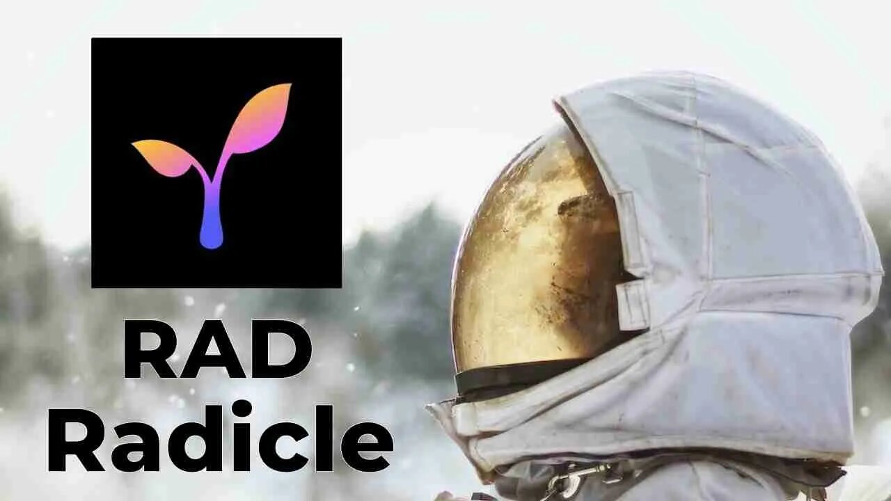 RAD Radicle Coin Price Prediction Daily Analysis 2023 Chart