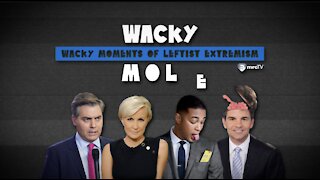 Media ‘Whips’ Up Lies & Cries To Help Biden - Wacky MOLE