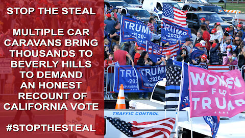 Stop the Steal Rally in Beverly Hills Demands Recount of Vote