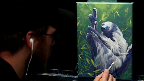 Acrylic Wildlife Painting of a Sloth - Time Lapse - Artist Timothy Stanford