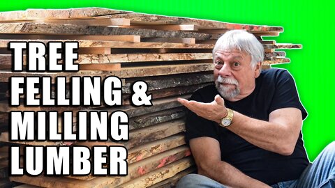 Tree Felling & Milling My Own Lumber with a Portable Sawmill