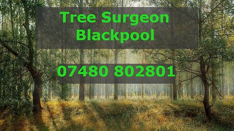 Tree Surgeon Blackpool Stump Root & Tree Removal Tree Trimming Services
