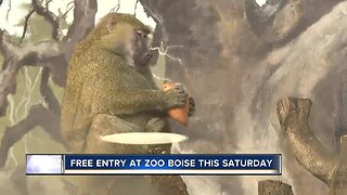 Free admission day at Zoo Boise Saturday