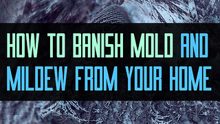 How to Banish Mold and Mildew from Your Home