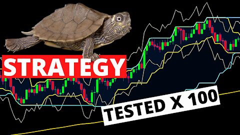 Revamp: Turtle Trading System