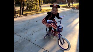 Minnie Mouse Costume Halloween 2020 Outdoors