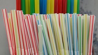 Delray Beach considering a ban on plastic straws in restaurants