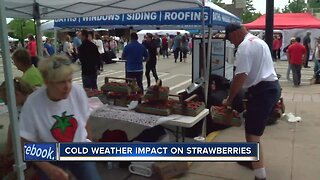 Wet start to summer impacts strawberry crops