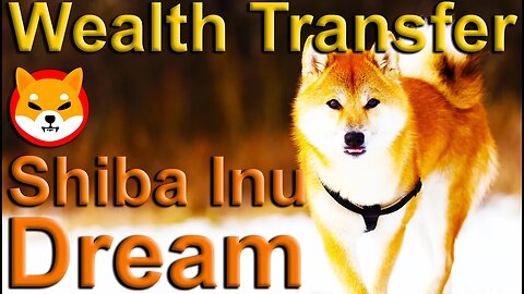 Shiba Inu Dream 🦊 Wealth Transfer 🦊 $SHIB 🦊 #SHIB 🦊 #ShibaInu 🦊 Sister Tammy B - "GOD is"