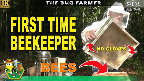 Birthing a Beekeeper | What it's like to enter a hive the first time. #8k #beekeeping #insects