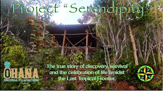 Project Serendipity: The Last Tropical Frontier #16