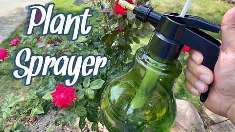 Pressure Pump Water Bottle Sprayer Review