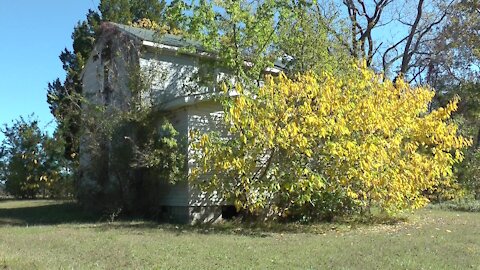 Hollies Church Road House - Abandoned