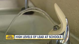 Lead found in Polk County Schools drinking water