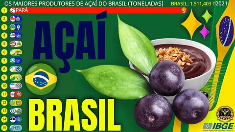 Os Maiores Produtores de Açaí do Brasil