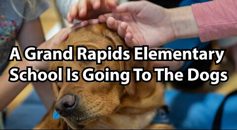 A Grand Rapids Elementary School Is Going To The Dogs