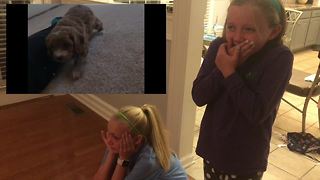 Kids have emotional response to new puppy surprise