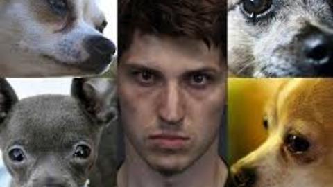 Jason Brown Known As "The Dog Killer" Gets 28 Years In A Nevada Prison-October 1, 2015