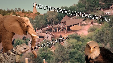 BEC Watch Entries: #3 The Cheyenne Mountain Zoo