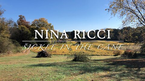 Sickle In The Cane - Nina Ricci (Original Song)