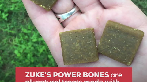 Zuke's Power Bones Are for Active Dogs
