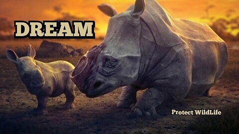 Dream ( Protect Wildlife)