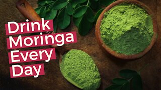 Moringa Benefits | 12 Health Benefits of Moringa Powder