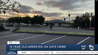 14 year old arrested for rabbi assault