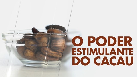 O poder estimulante do cacau.