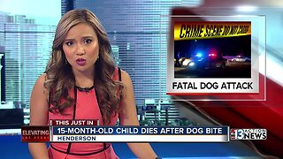 15-month-old child dies after dog bite