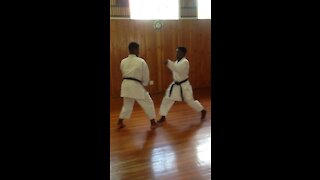 Karate kids strike it rich with golds (F4U)